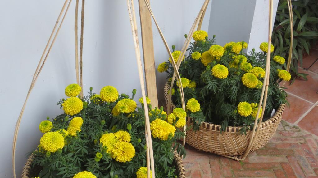 Charming Homestay هوي ان المظهر الخارجي الصورة